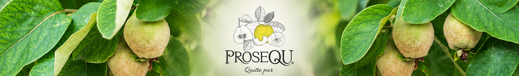 PROSEQU – Quitte pur